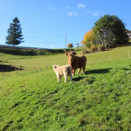 Edelweiss Apartmán *