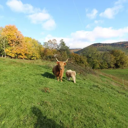 Edelweiss Apartmán *