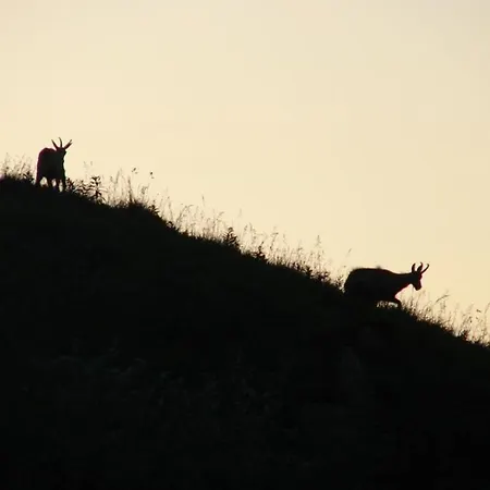 Apartmán Edelweiss La Bresse
