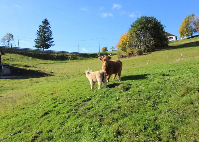 Edelweiss Apartmán *