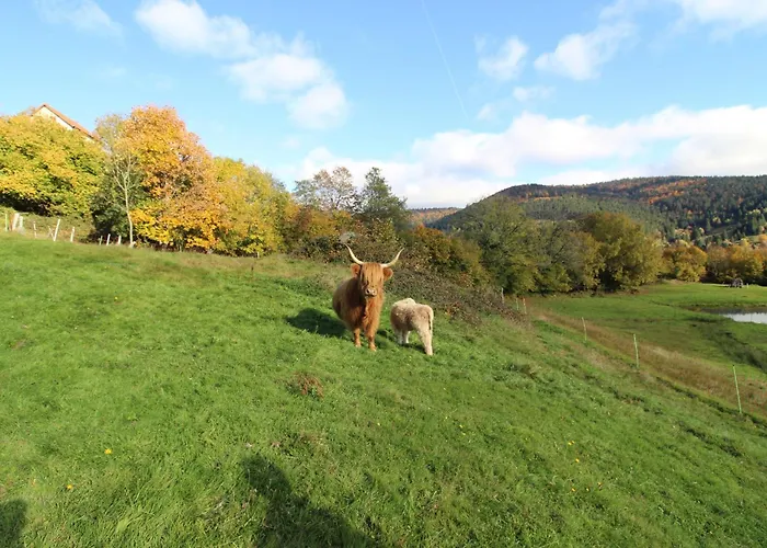 Edelweiss Apartmán *