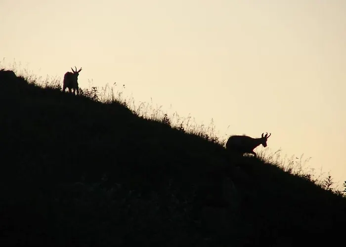 Apartmán Edelweiss La Bresse